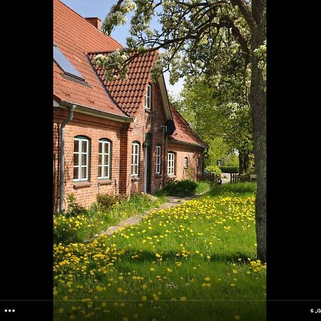 Landhaus Hohenfelde Hohenfelde  Extérieur photo