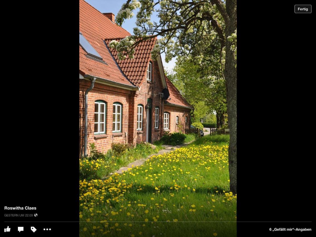 Landhaus Hohenfelde Hohenfelde  Extérieur photo